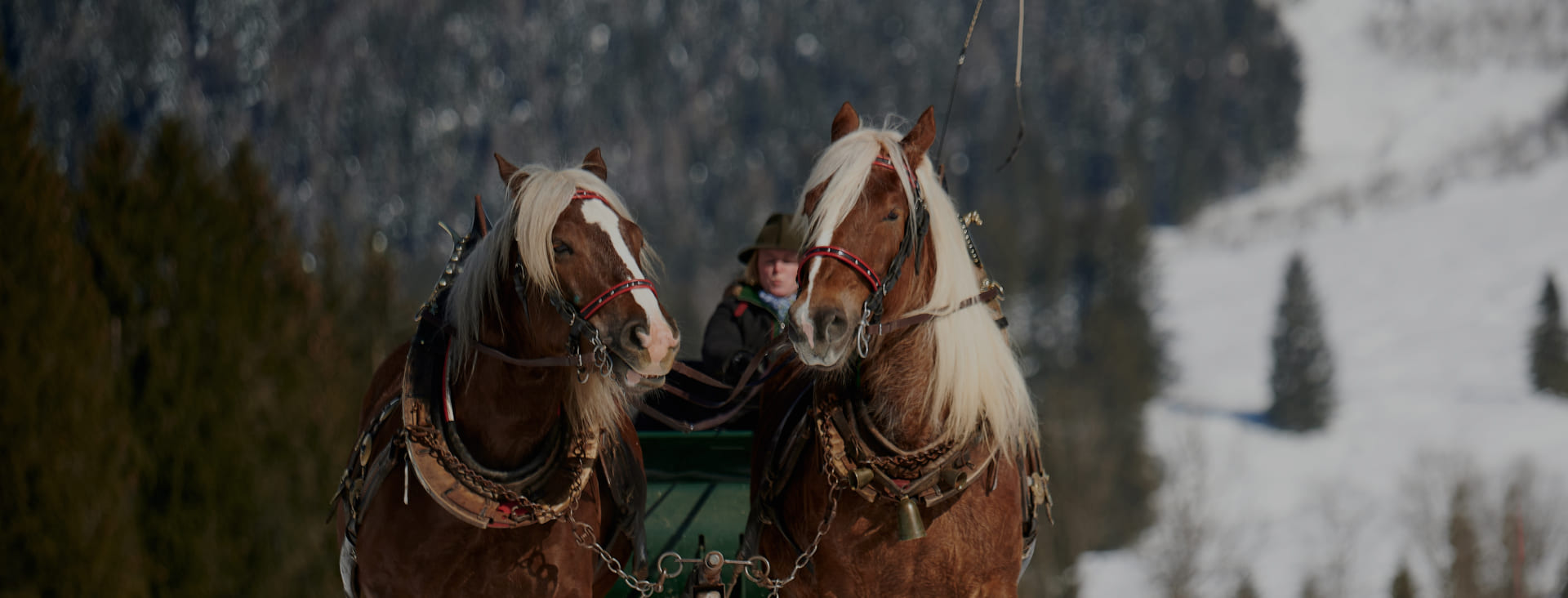 Romantische Pferdekutschenfahrt in Werfenweng im Winterurlaub am Moahof. (c) TVB Werfenweng Marco Dullnig